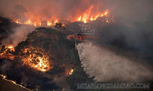 Thảm họa cháy rừng tại Australia