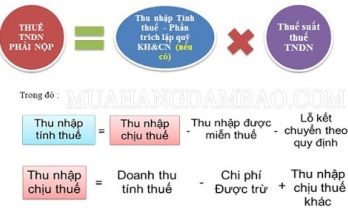 Mã số thuế cá nhân là gì?