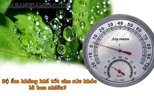 Độ ẩm không khí bao nhiêu là lý tưởng?