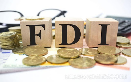 Tìm hiểu về FDI và các công ty FDI là gì? 