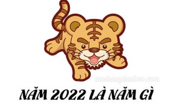 Năm 2022 là năm Dần - con Hổ