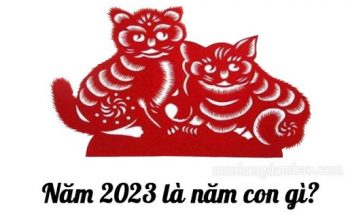 Năm 2023 là năm con mèo