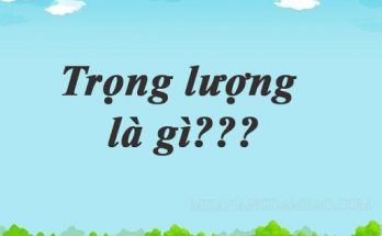 Trọng lượng là gì?