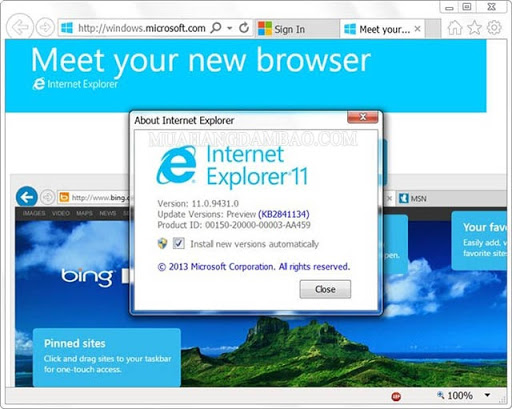 Internet Explorer Là Gì Sự Hình Thành Và Phát Triển Của Internet Explorer