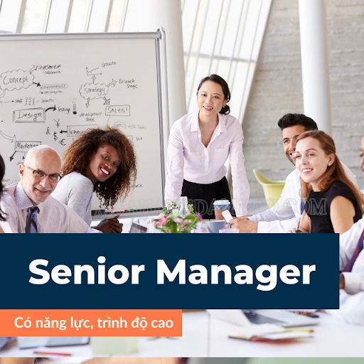 Để trở thành một Senior Manager thực thụ thì cần phải trau dồi học hỏi thêm nhiều kiến thức, kĩ năng