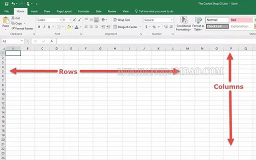 Cột và hàng trong phần mềm Excel