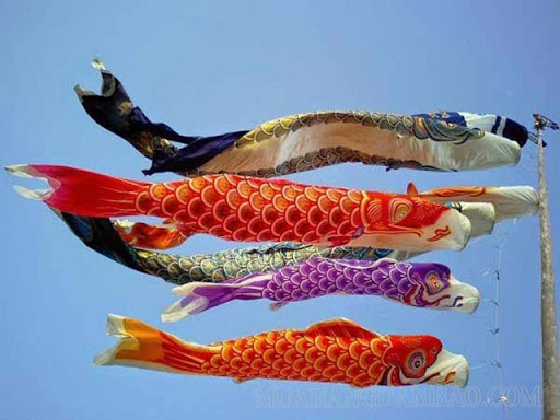 Hình ảnh cờ cá chép trong ngày tết Đoan ngọ của Nhật
