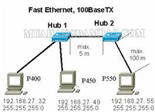 Sơ đồ mạng Fast Ethernet 100BASE-TX