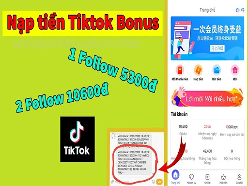 Tik Tok Bonus là gì?