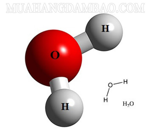 Cấu tạo phân tử Nước (H2O)