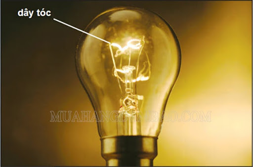 Bóng đèn dây tóc phát sáng nhờ tác dụng phát sáng của dòng điện
