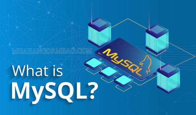 Hệ quản trị cơ sở dữ liệu MySQL