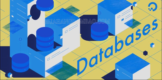 Database là gì? Tổng hợp các thông tin chi tiết