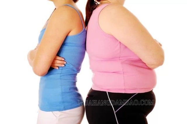 Chỉ số BMI phản ánh lượng mỡ thừa trong cơ thể