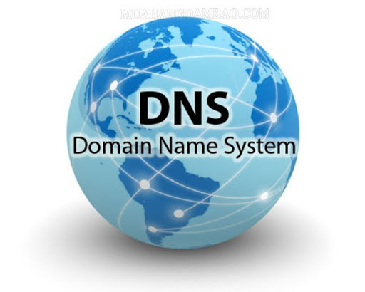DNS là hệ thống phân giải tên miền