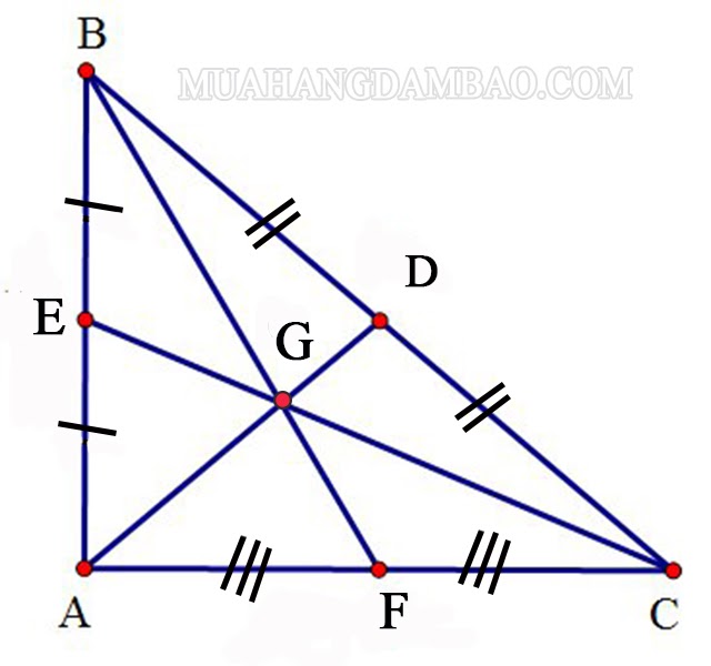 Đường trung tuyến là gì? Tính hóa học đàng trung tuyến nhập tam giác