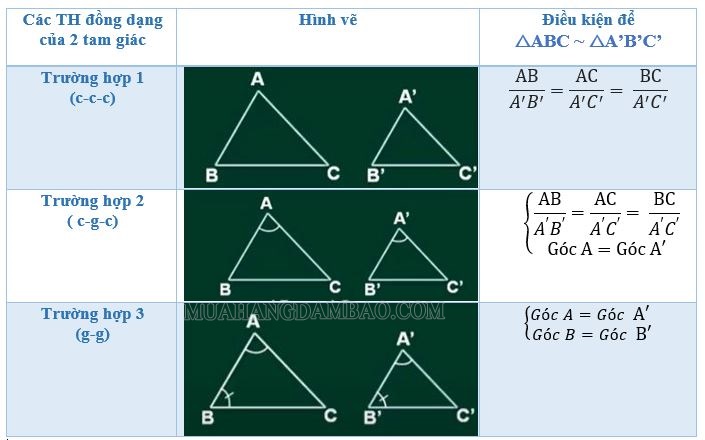 Các trường hợp tam giác đồng dạng của tam giác thường