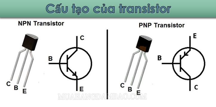 Cấu tạo cơ bản của transistor