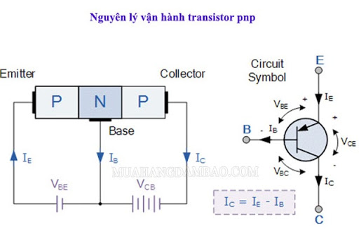 Nguyên lý hoạt động của transistor PNP