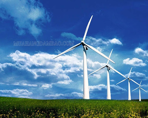 Nguồn năng lượng gió bảo vệ môi trường