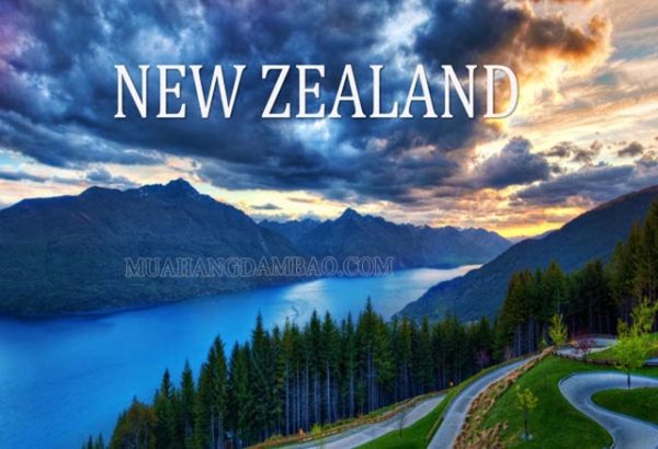 New Zealand Thuộc Châu Nào Đất Nước New Zealand Có Gì đặc Biệt 1061