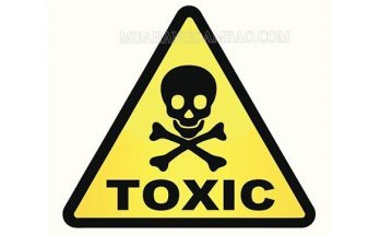 Toxic có nghĩa là có hại, độc hại