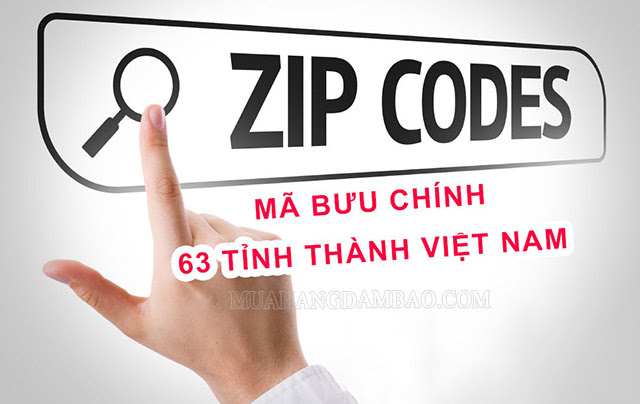 Tra cứu mã zip trực tuyến