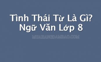 Thế nào là tình thái từ