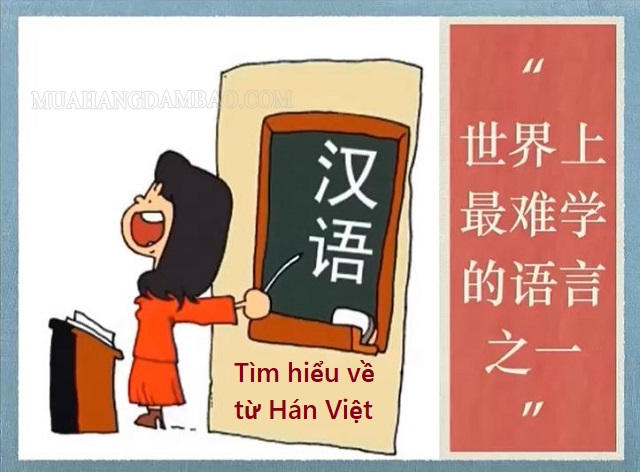 Giải nghĩa từ Hán Việt ngữ văn 7 là gì?