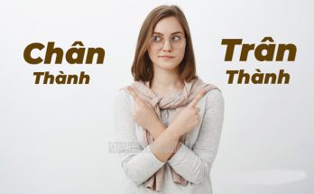 Chân thành hay trân thành mới là từ đúng?