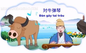 Đàn gảy tai trâu có nguồn gốc từ thời Chiến Quốc