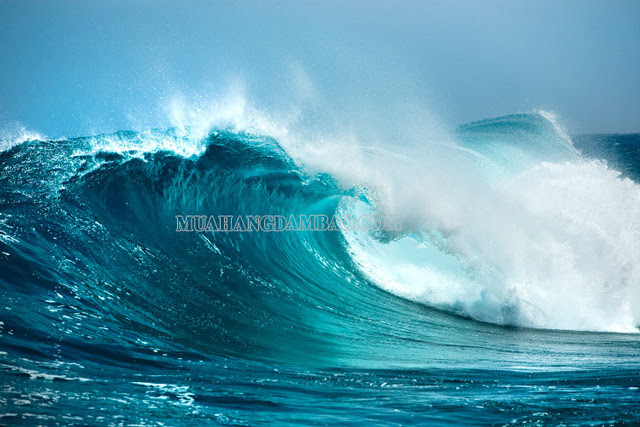Sóng là gì? Nguyên nhân nào sinh ra sóng biển? – Mua hàng đảm bảo