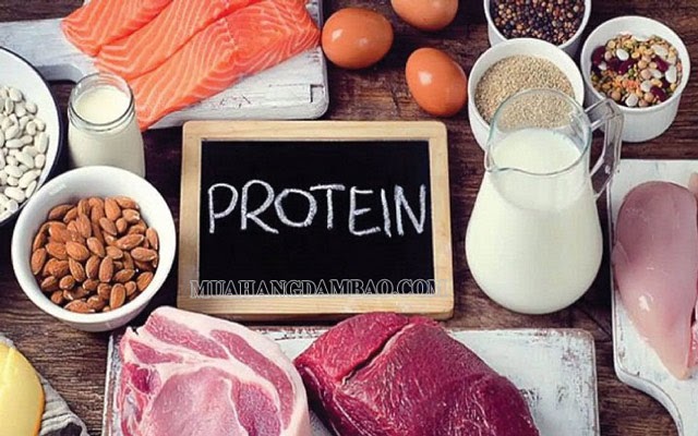 Protein là chất như thế nào?