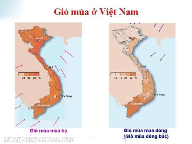 Hai hình thái gió mùa hoạt động tại Việt Nam