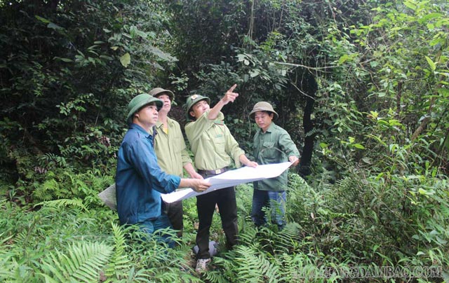 Tăng cường công tác kiểm tra quy trình bảo vệ rừng phòng hộ