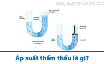 Như thế nào là áp suất thẩm thấu?