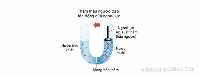 Quy trình áp suất thẩm thấu ngược