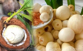 Mộng dừa ướp lạnh - món ăn giải nhiệt tuyệt vời cho mùa hè