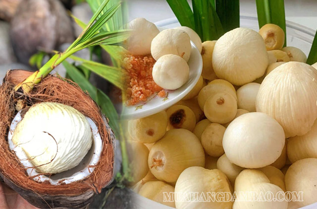 Mộng dừa ướp lạnh - món ăn giải nhiệt tuyệt vời cho mùa hè
