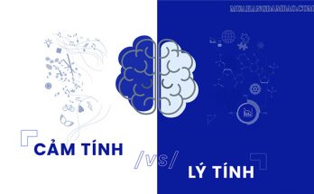 Nhận thức lý tính hoàn toàn khác biệt với nhận thức cảm tính