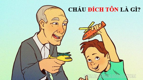 Cháu đích Tôn Là Gì Tại Sao Lại Xuất Hiện Cháu đích Tôn ở Vn 3394