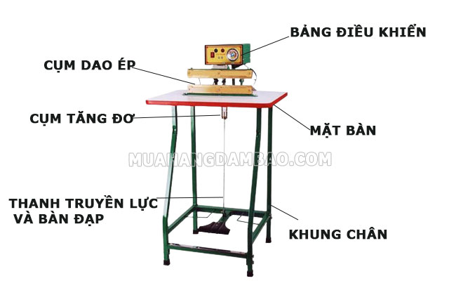 Máy ép dẻo có cấu tạo gồm 6 bộ phận chính