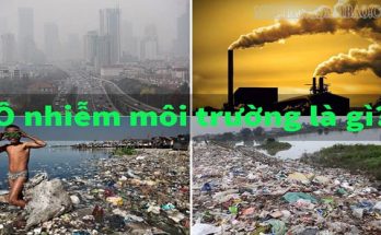 Hình ảnh ô nhiễm môi trường cực kỳ trầm trọng tại nhiều quốc gia