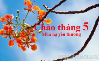 Hình ảnh chào tháng 5 khiến lòng ta bồi hồi