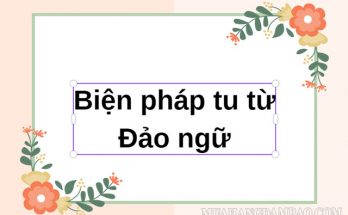 Đảo ngữ là biện pháp tu từ đặc biệt trong tiếng Việt