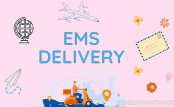 EMS là khái niệm được dùng nhiều trong lĩnh vực chuyển phát nhanh