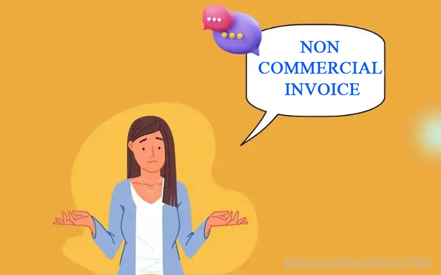 Non commercial invoice không có chức năng thanh toán