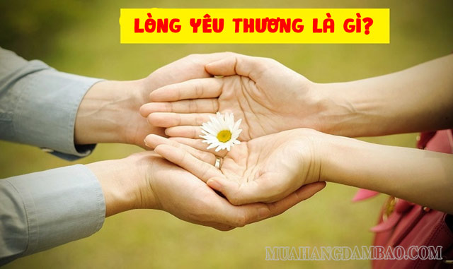 Lòng yêu thương con người trong cuộc sống là 1 điều vô cùng thiêng liêng