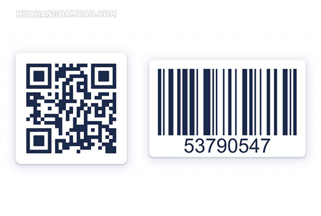 Barcode và QR code có nhiều điểm khác biệt