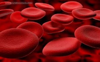 RBC là viết tắt của Red Blood Cells (hồng cầu)